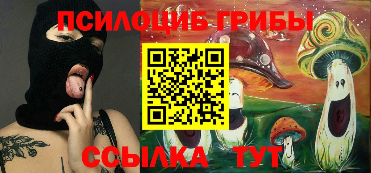Псилоцибиновые грибы Psilocybine cubensis Заинск