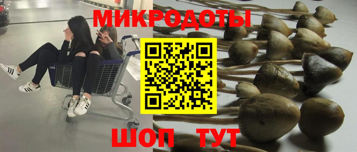 где купить наркоту  Вход с VPN  Заинск  Псилоцибиновые грибы MAGIC MUSHROOMS 